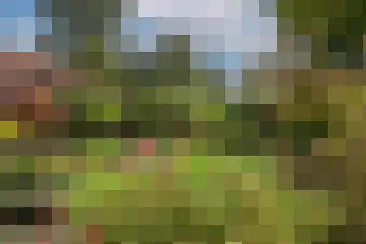 Zuid Esch 11 Borne thumbnail 48