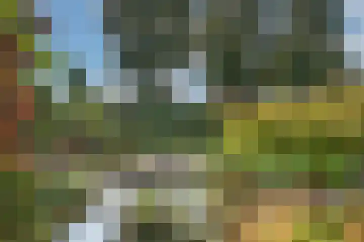 Zuid Esch 11 Borne thumbnail 49