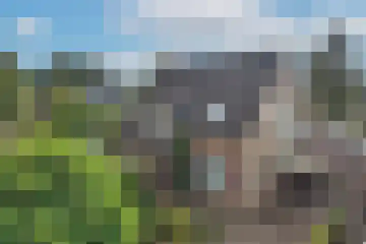 Zuid Esch 11 Borne thumbnail 5