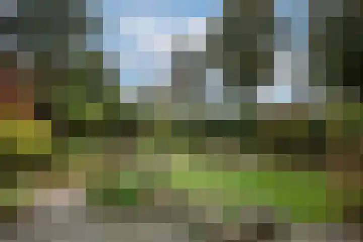 Zuid Esch 11 Borne thumbnail 50