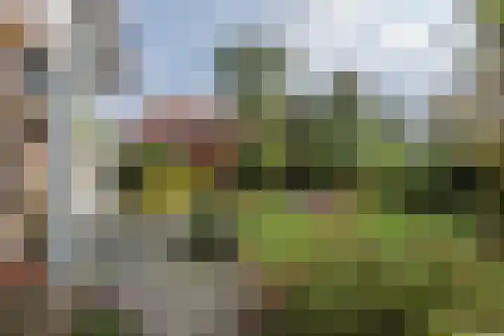 Zuid Esch 11 Borne thumbnail 51