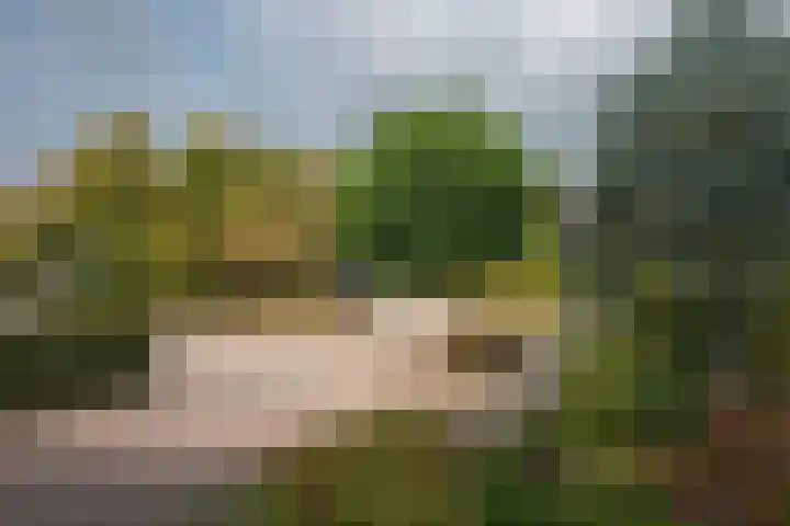 Zuid Esch 11 Borne thumbnail 54