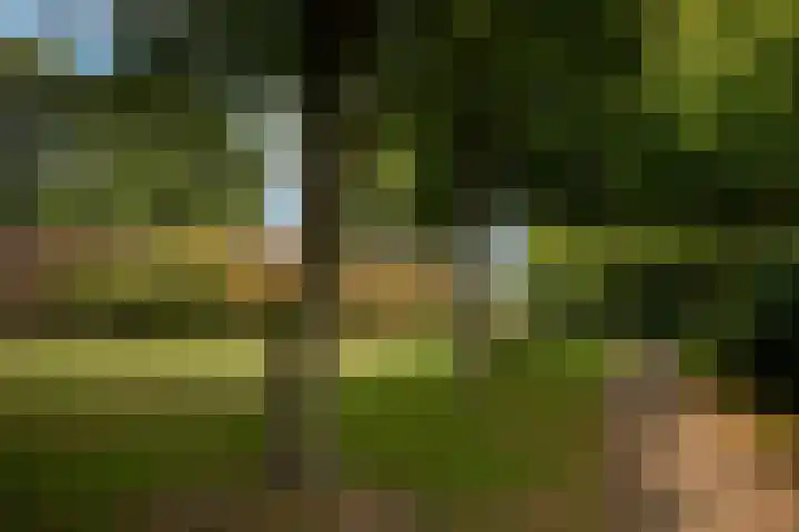 Zuid Esch 11 Borne thumbnail 55