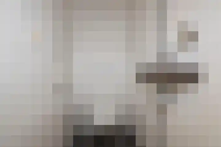 Zuid Esch 11 Borne thumbnail 8