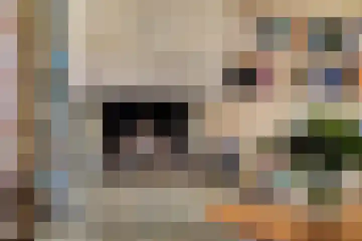 Zuid Esch 46 Borne thumbnail 12