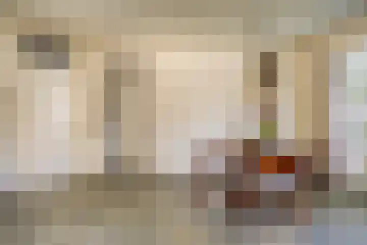 Zuid Esch 46 Borne thumbnail 13