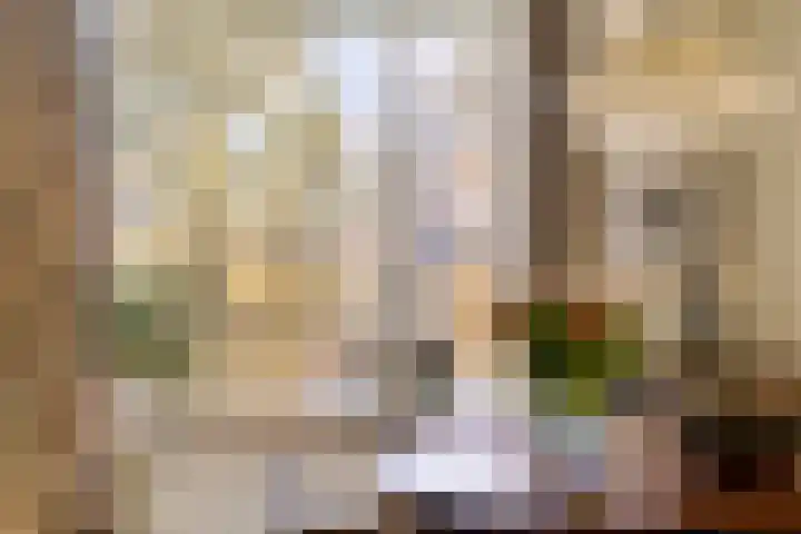 Zuid Esch 46 Borne thumbnail 14