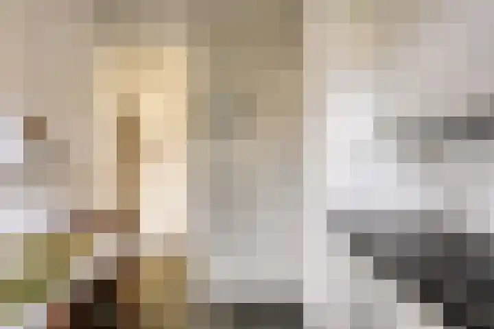 Zuid Esch 46 Borne thumbnail 16