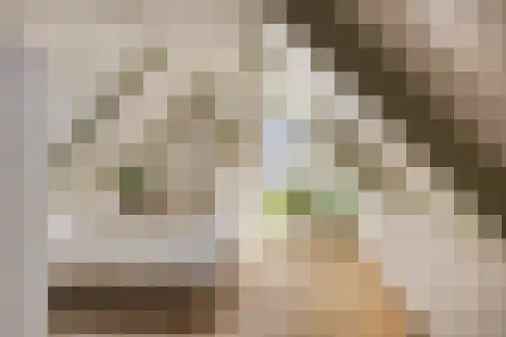 Zuid Esch 46 Borne thumbnail 22