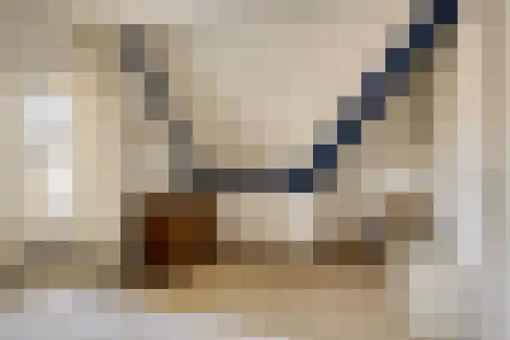 Zuid Esch 46 Borne thumbnail 25