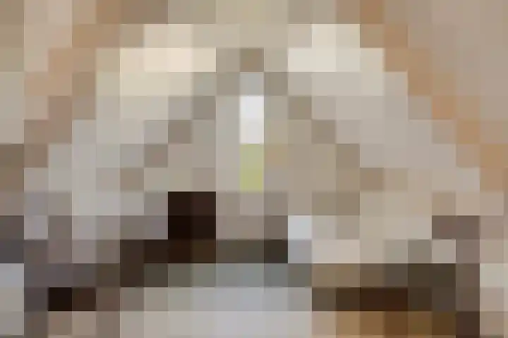 Zuid Esch 46 Borne thumbnail 29
