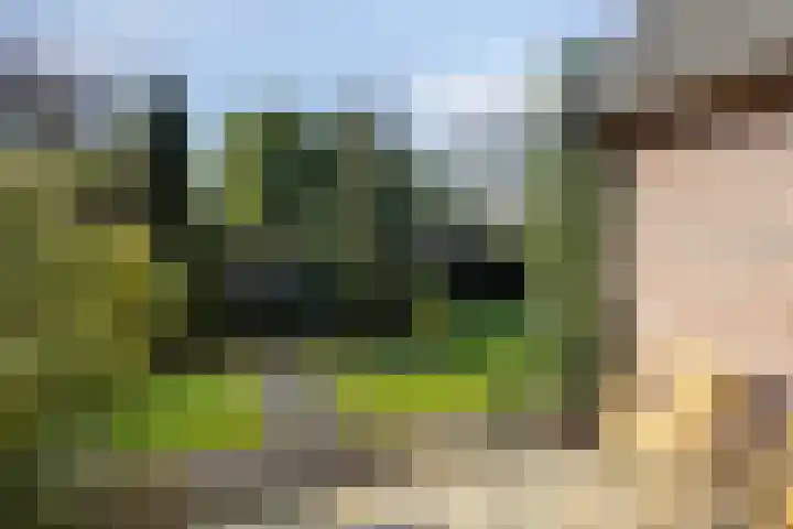 Zuid Esch 46 Borne thumbnail 33