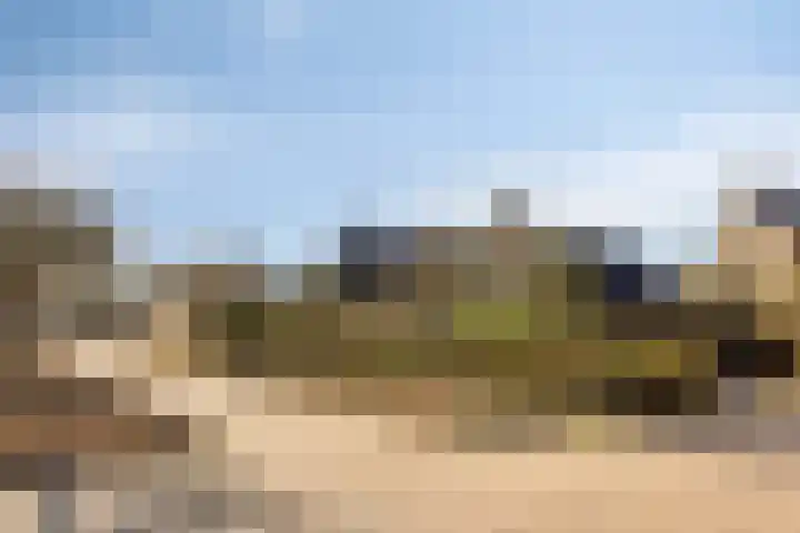 Zuid Esch 46 Borne thumbnail 34