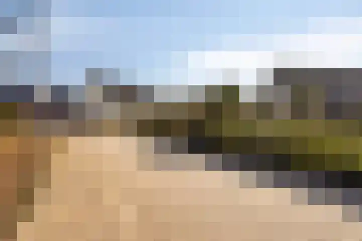 Zuid Esch 46 Borne thumbnail 35
