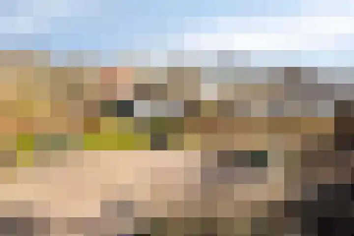 Zuid Esch 46 Borne thumbnail 36