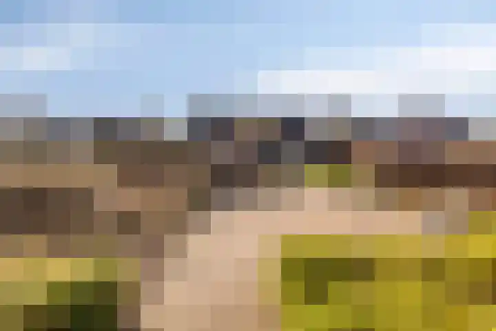 Zuid Esch 46 Borne thumbnail 37