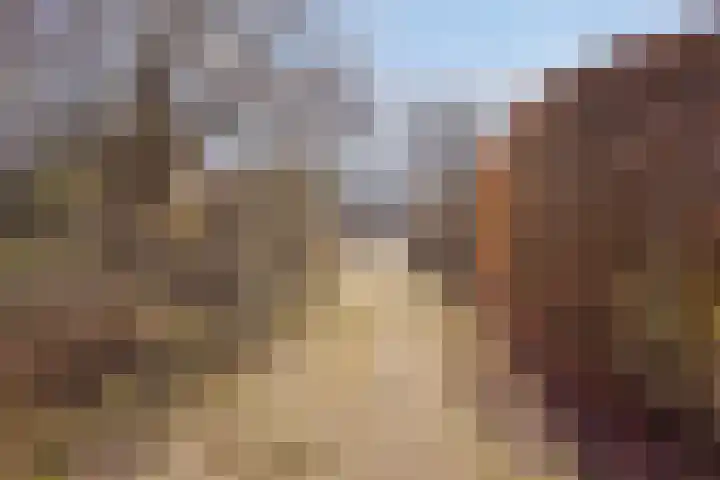 Zuid Esch 46 Borne thumbnail 38