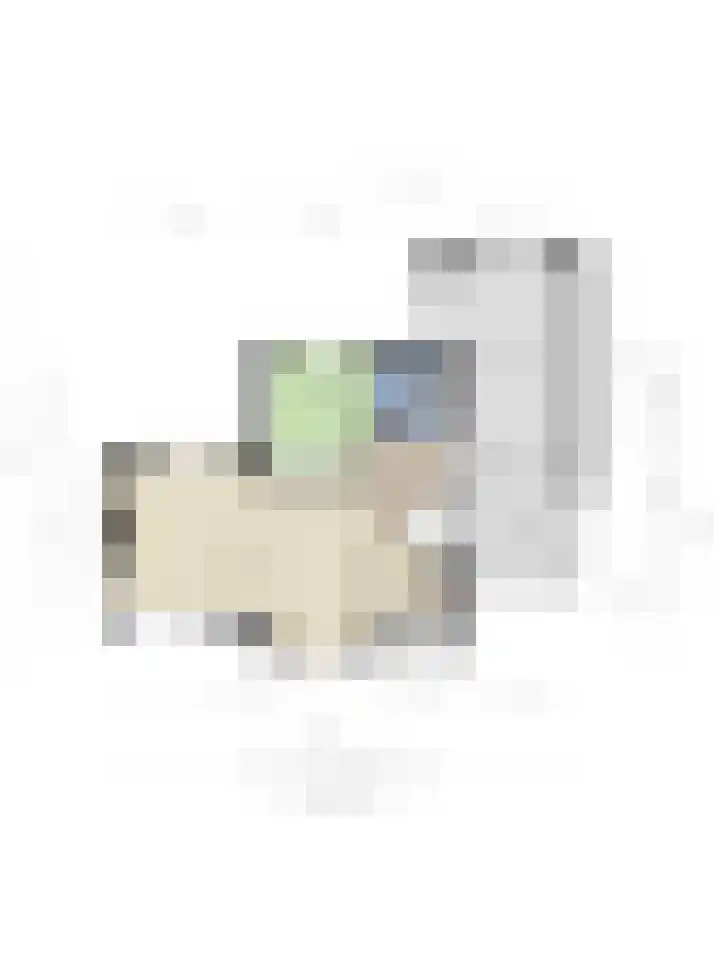 Zuid Esch 46 Borne thumbnail 39