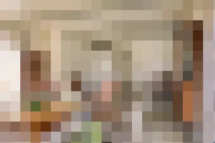 Zuid Esch 46 Borne thumbnail 4