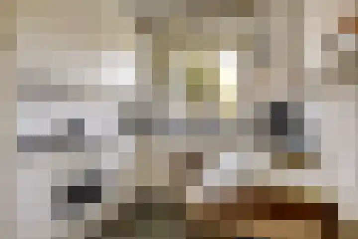 Zuid Esch 46 Borne thumbnail 5