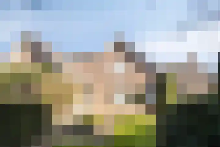 Zuid Esch 46 Borne thumbnail 6