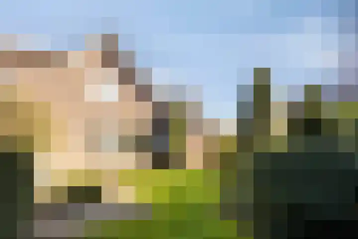 Zuid Esch 46 Borne thumbnail 7