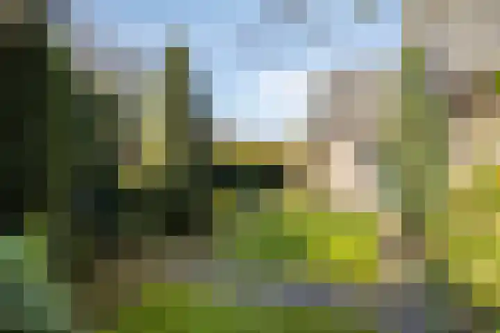 Zuid Esch 46 Borne thumbnail 8