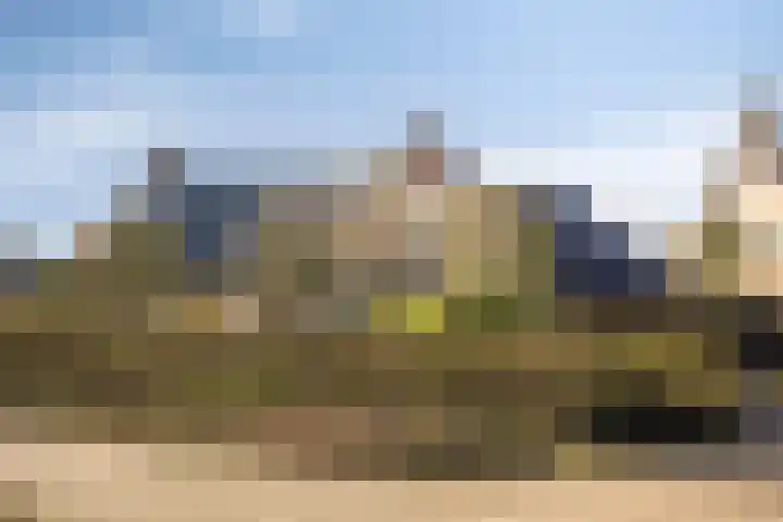 Zuid Esch 46 Borne thumbnail 9