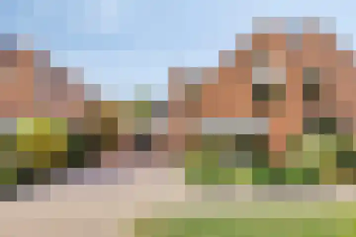 Zuid IJsseldijk 25 IJsselstein thumbnail 6