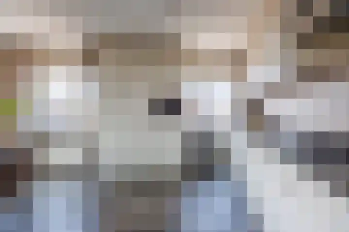 Zuid-Oostwal 4 Gennep thumbnail 23
