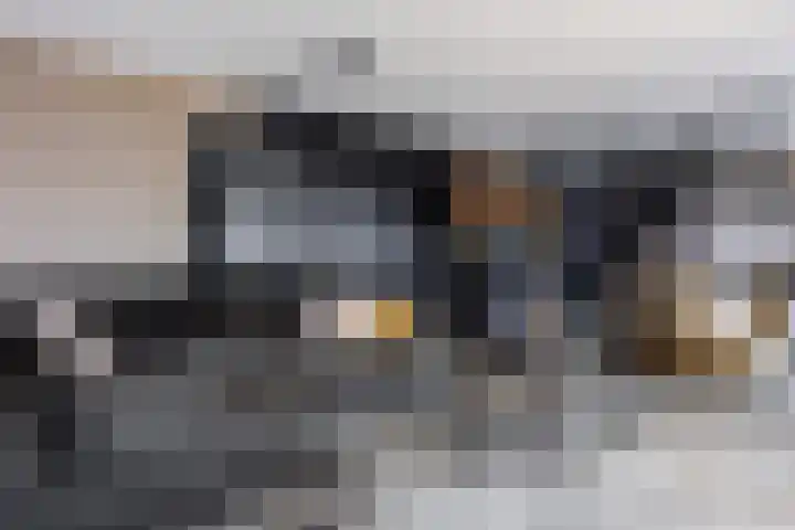 Zuid-Oostwal 4 Gennep thumbnail 26