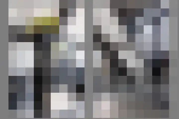 Zuid-Oostwal 4 Gennep thumbnail 37