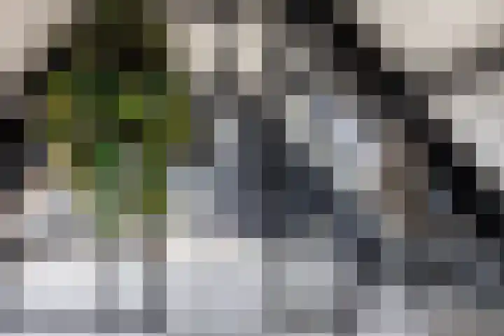 Zuid-Oostwal 4 Gennep thumbnail 41