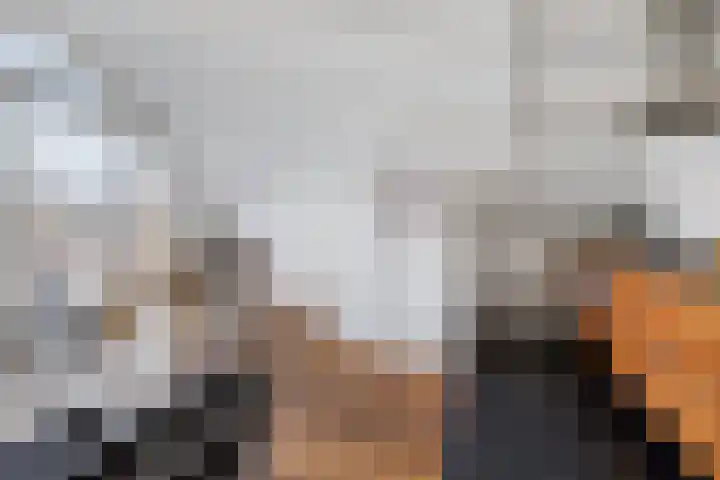 Zuid Rundersteeg 7 B Leiden thumbnail 12