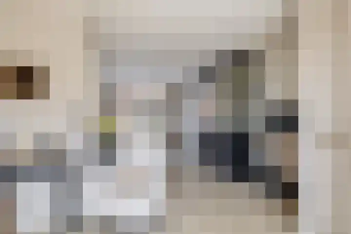 Zuid Spuidijk 13 Dirksland thumbnail 12