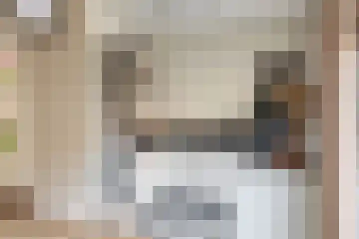 Zuid Spuidijk 13 Dirksland thumbnail 13