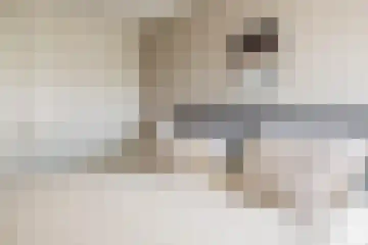 Zuid Spuidijk 13 Dirksland thumbnail 18