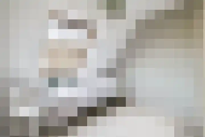 Zuid Spuidijk 13 Dirksland thumbnail 19