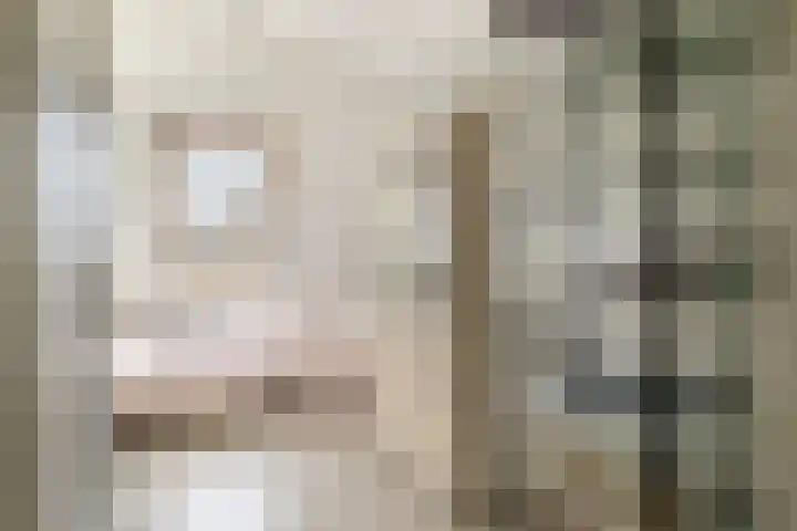 Zuid Spuidijk 13 Dirksland thumbnail 20