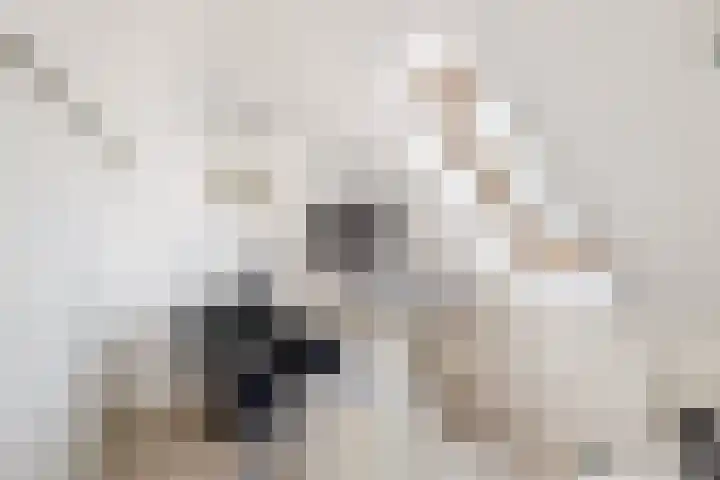 Zuid Spuidijk 13 Dirksland thumbnail 24