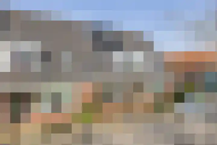 Zuid Spuidijk 13 Dirksland thumbnail 5