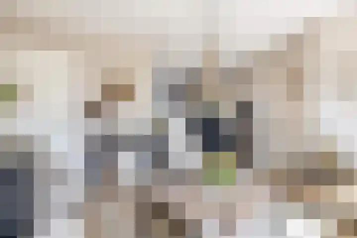 Zuid Spuidijk 13 Dirksland thumbnail 9