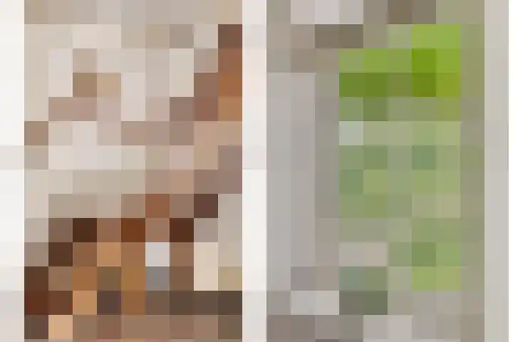 Zuiddijk 10 Dreischor thumbnail 11