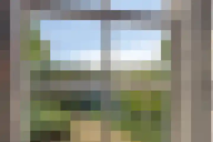 Zuiddijk 10 Dreischor thumbnail 15