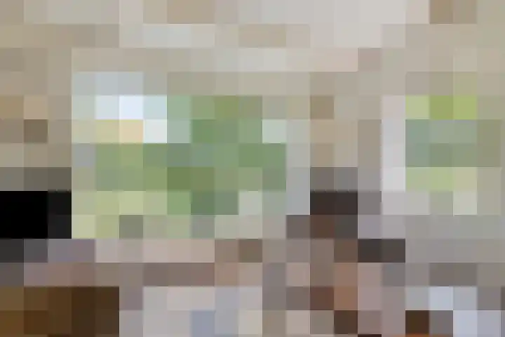 Zuiddijk 10 Dreischor thumbnail 22