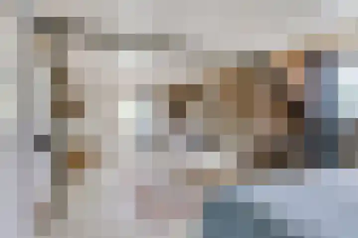 Zuiddijk 10 Dreischor thumbnail 30