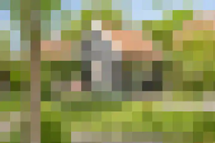 Zuiddijk 10 Dreischor thumbnail 31