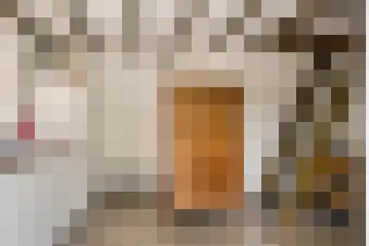 Zuiddijk 10 Dreischor thumbnail 32