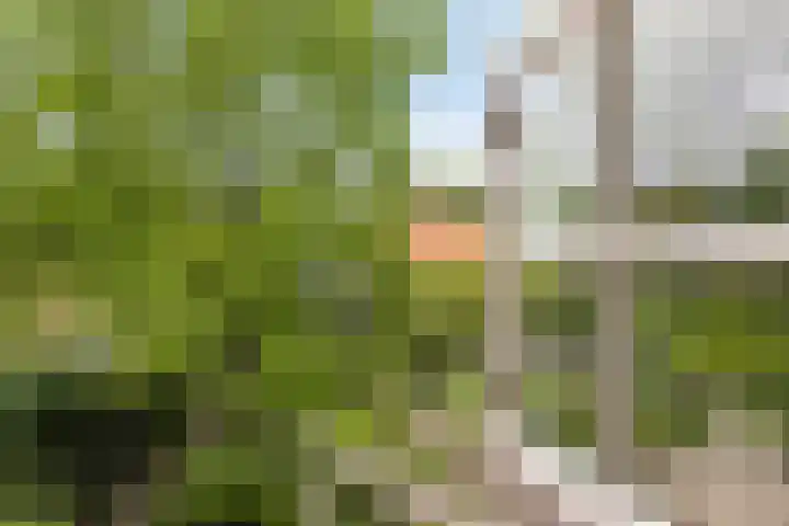 Zuiddijk 10 Dreischor thumbnail 35
