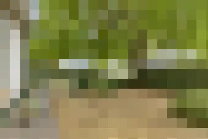 Zuiddijk 10 Dreischor thumbnail 37